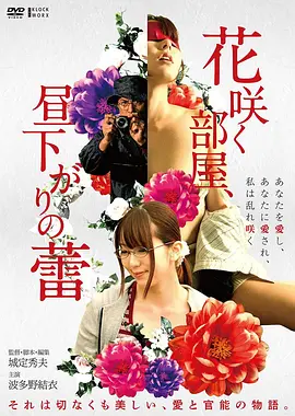满天星电影悬疑片长夜拾星海报